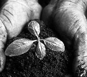 Spiritual Growth