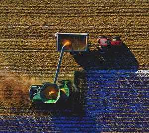 The Sower